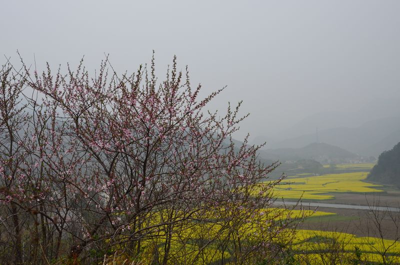 dsc_0942a.jpg