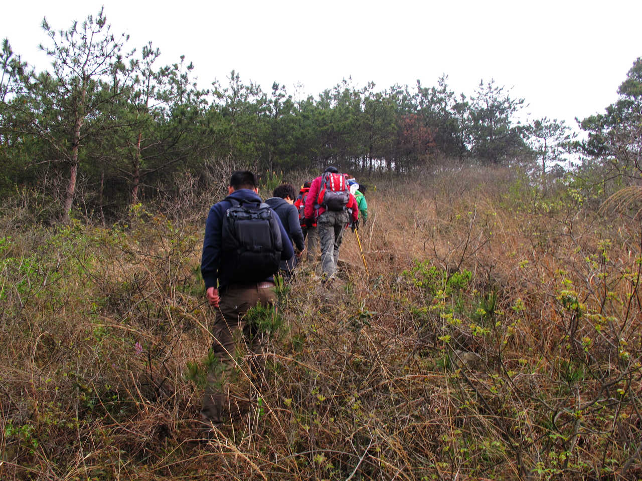 2013.3.3 226.jpg