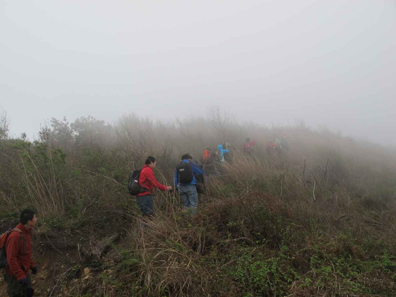 2013.3.3 282.jpg