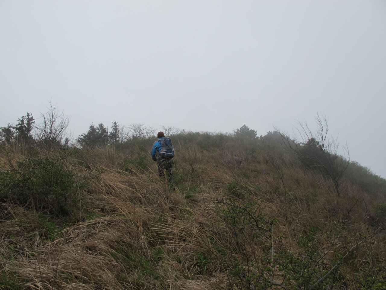 2013.3.3 292.jpg