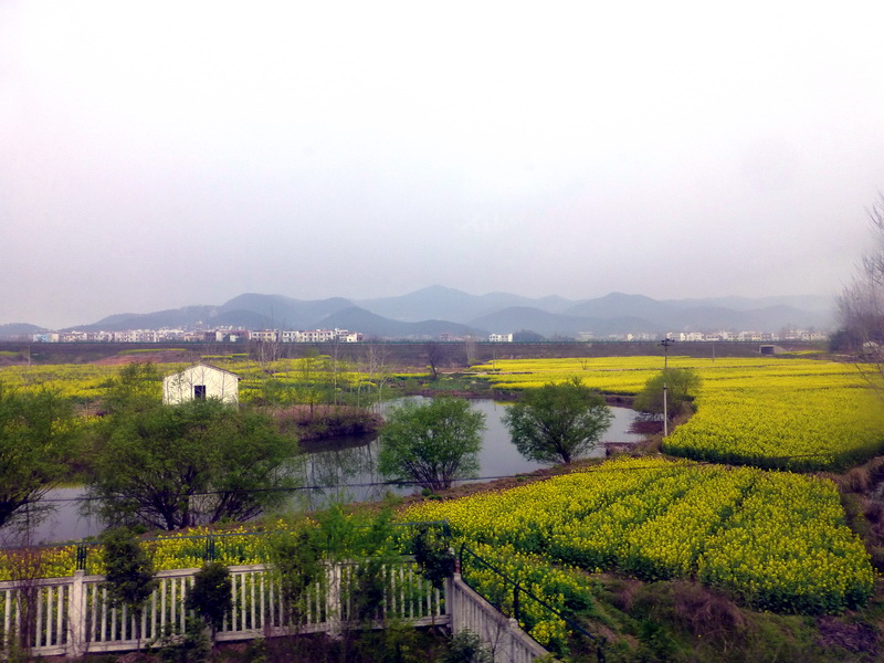 p1040031.jpg