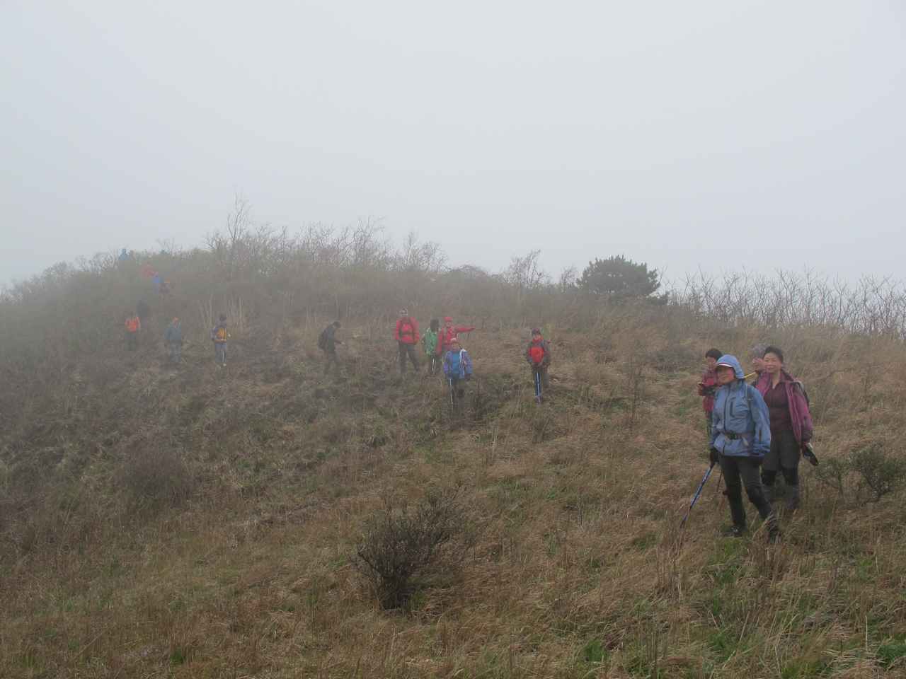 2013.3.3 300.jpg