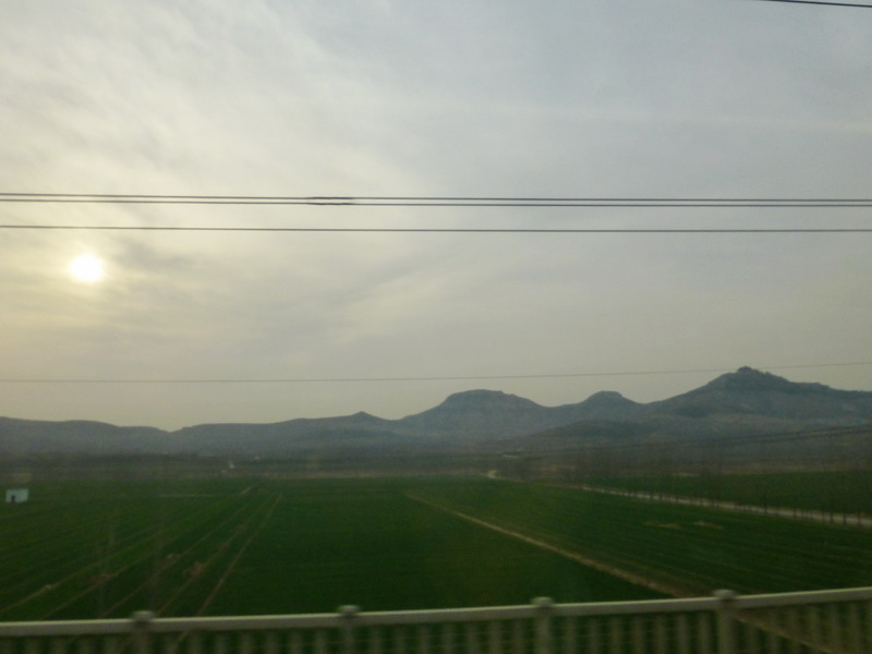 p1040112.jpg