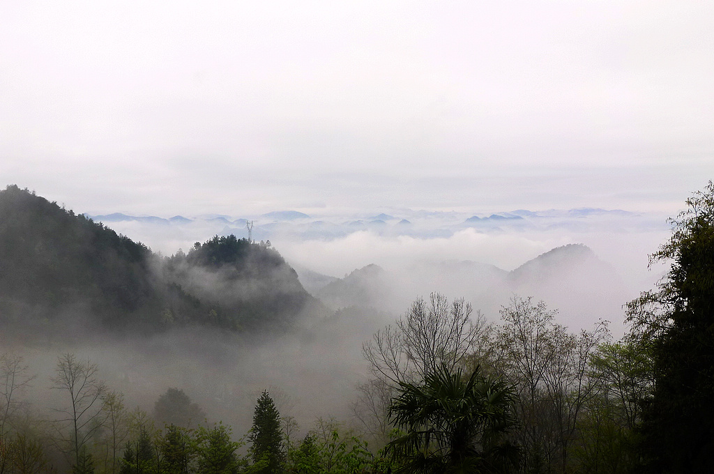 p1040444.jpg