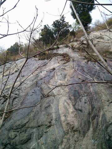 С img_20130324_133131.jpg