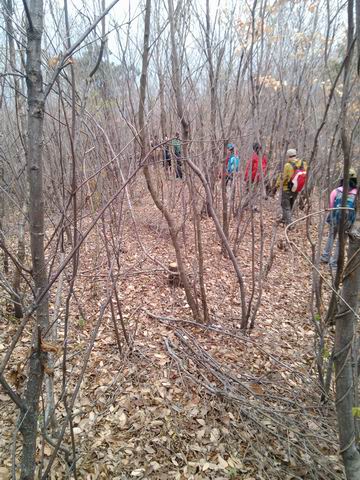 С img_20130324_152720.jpg