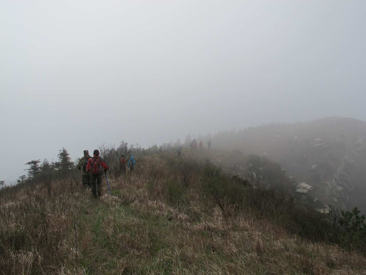 2013.3.3 325.jpg