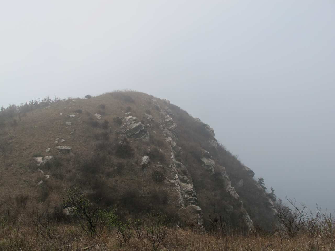2013.3.3 328.jpg