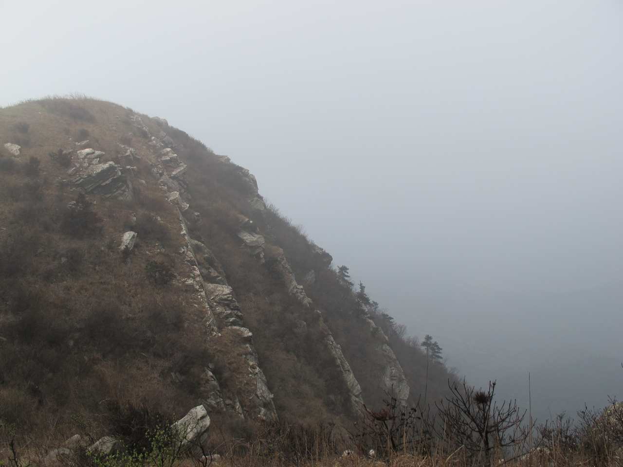 2013.3.3 330.jpg