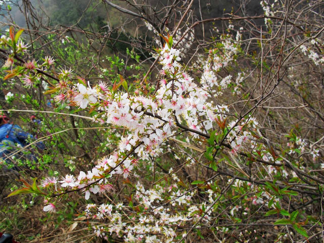 2013.3.3 341.jpg