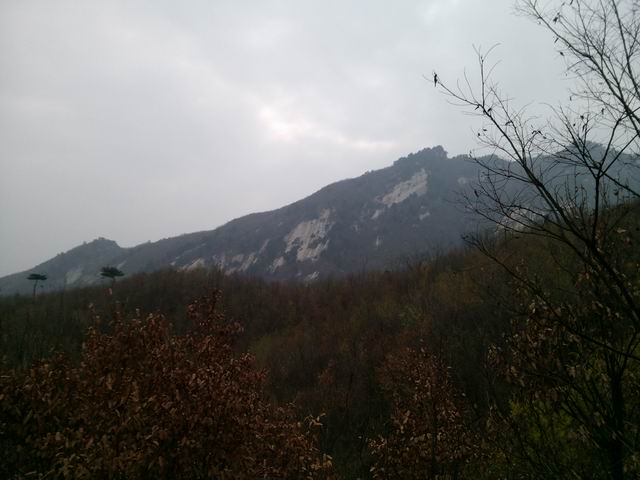 С img_20130324_153223.jpg