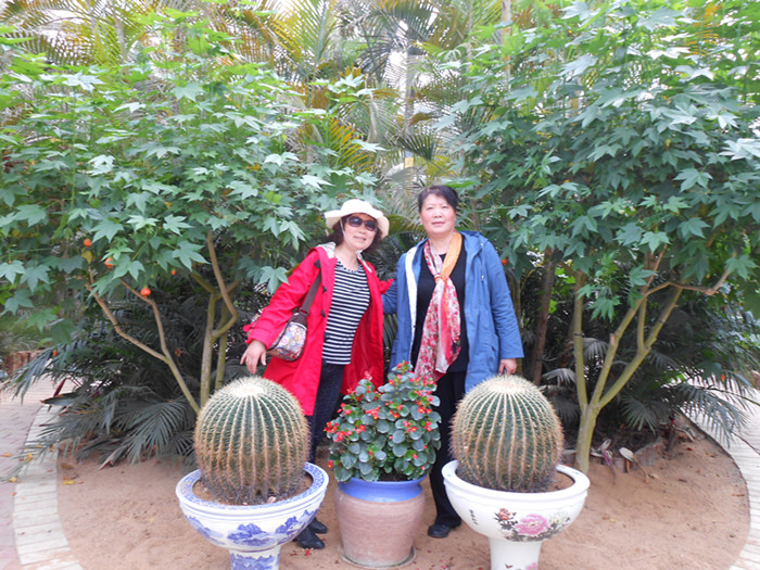 dscn0291.jpg