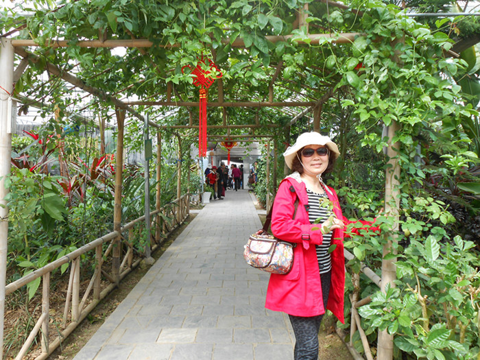 dscn0287.jpg