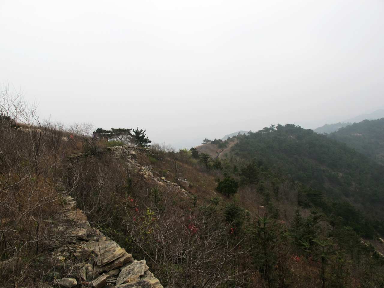 2013.3.3 383.jpg