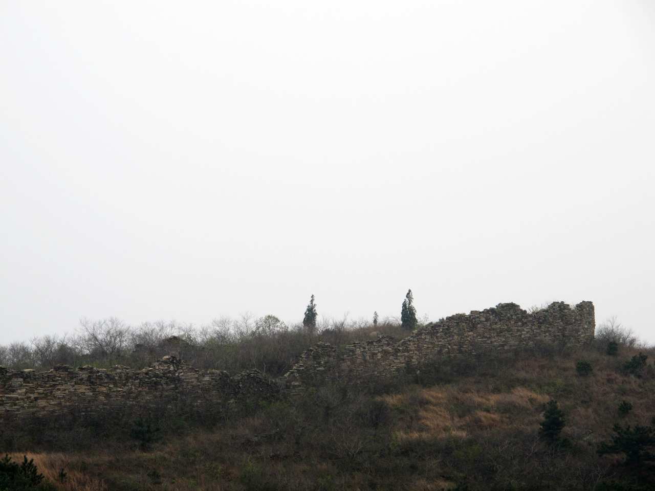 2013.3.3 409.jpg
