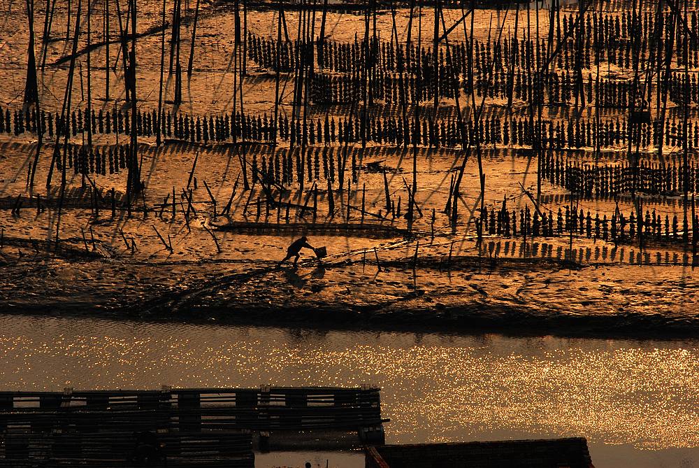 dsc_0510.jpg