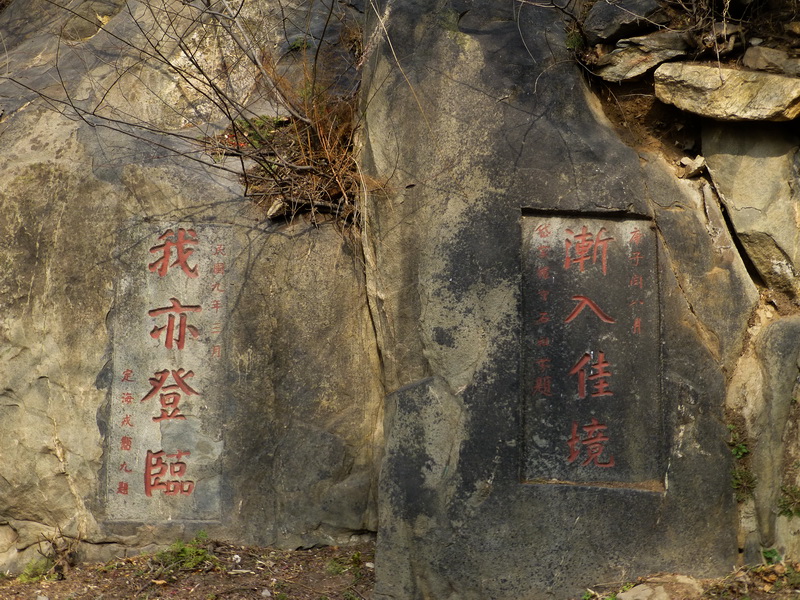 p1040175.jpg