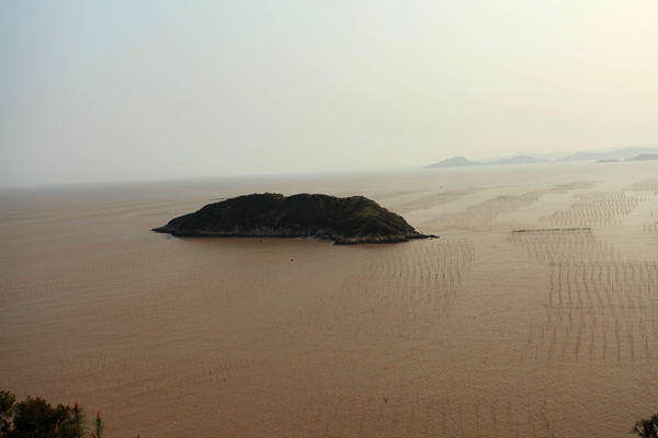 照片 1496.jpg