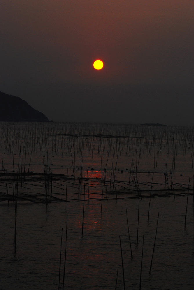 dsc_0037.jpg