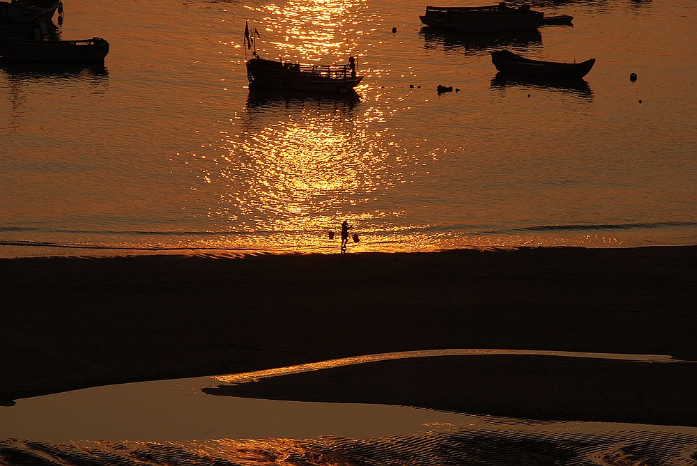 dsc_0132.jpg