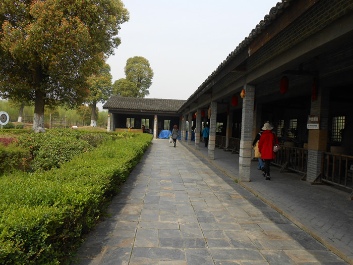 dscn0240.jpg
