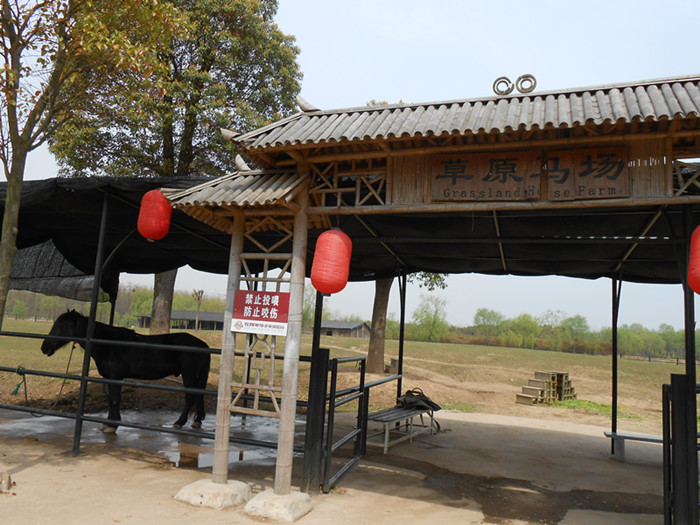 dscn0245.jpg