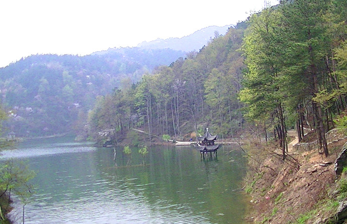 pic_0784_.jpg