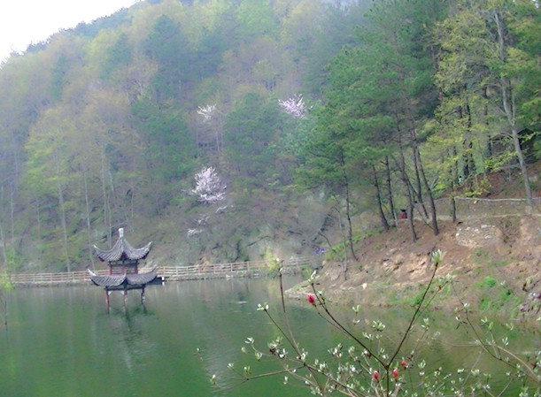 pic_0787_.jpg