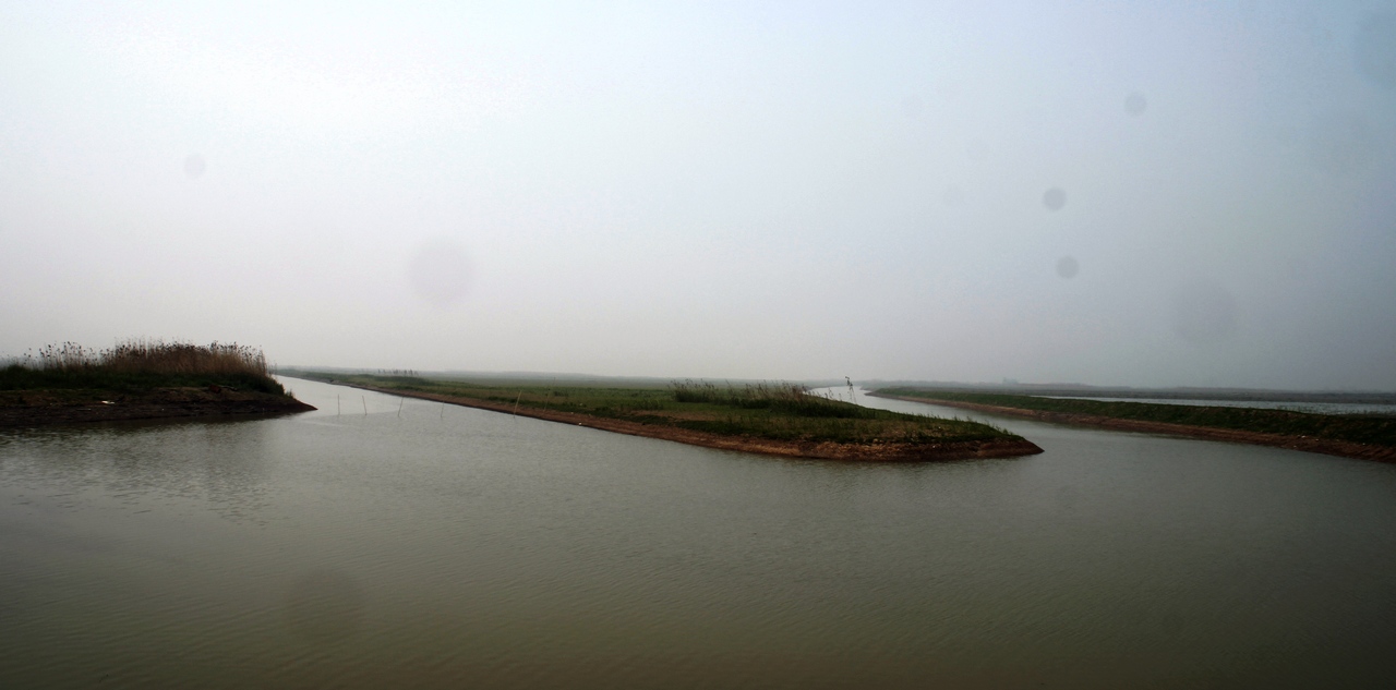 _mg_0141.jpg
