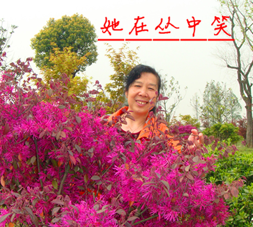 dsc09577_.jpg
