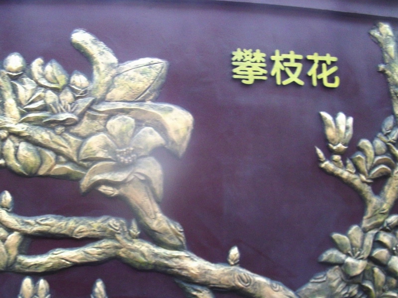 dscf0191.jpg