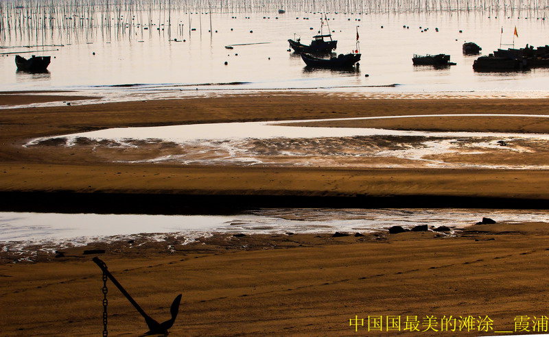 img_8352_缩小大小_副本.jpg