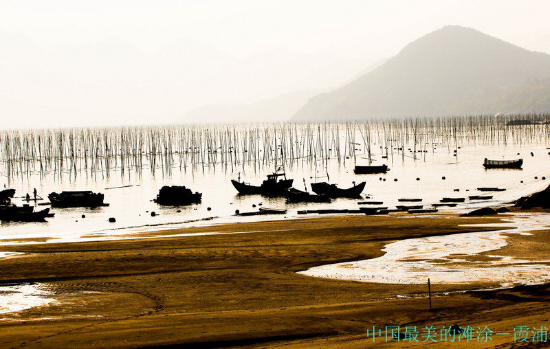 img_8353_缩小大小_副本.jpg