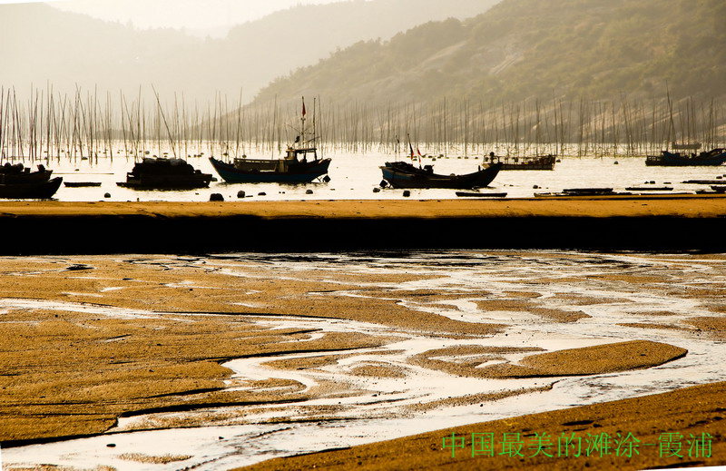 img_8374_缩小大小_副本.jpg