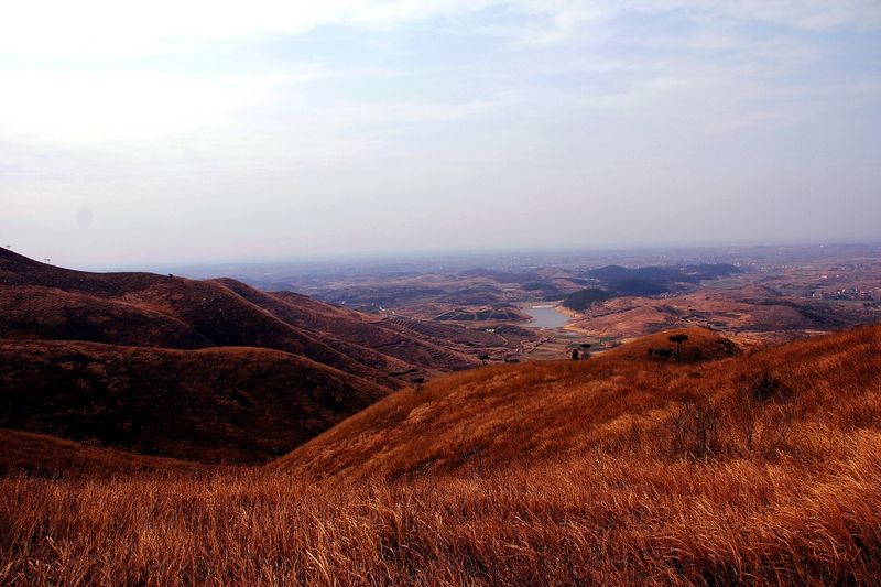 _mg_7924.jpg