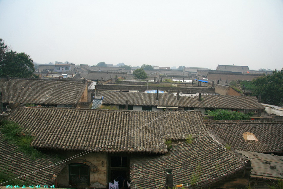 564.jpg