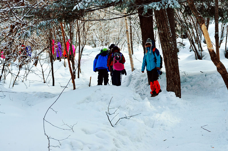 dsc_8565.jpg