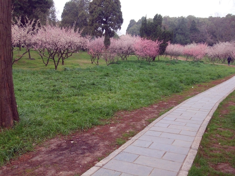 dscf9445_.jpg
