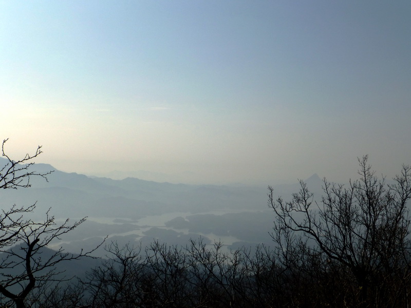 p1030415.jpg