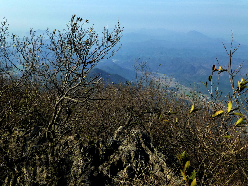 p1030416.jpg