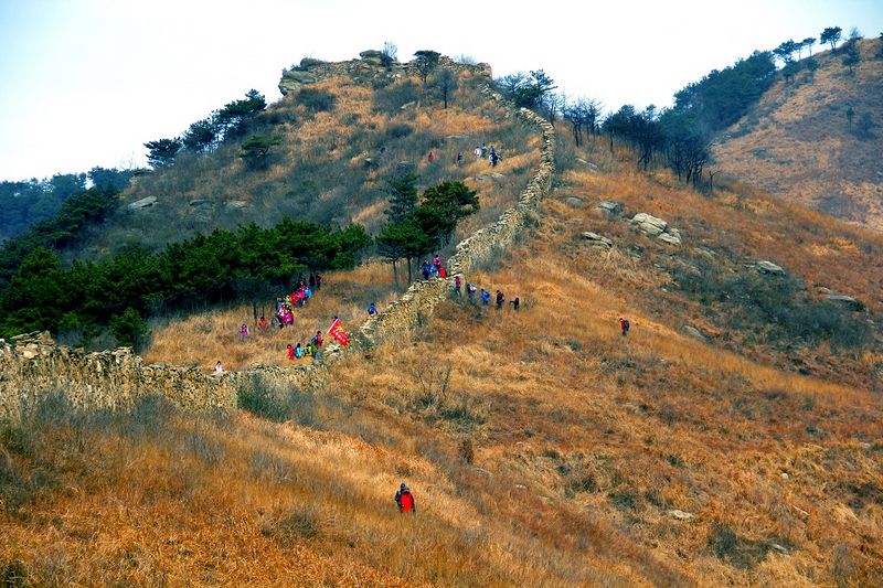 _mg_8354.jpg
