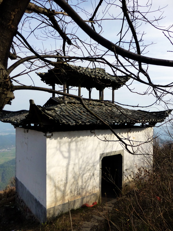 p1030398.jpg