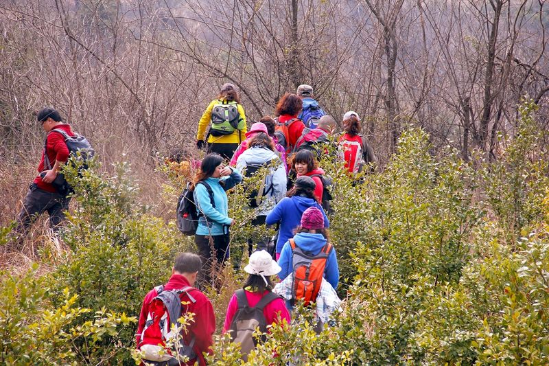 _mg_8474.jpg