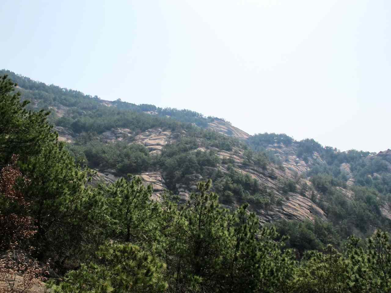 2013.3.3 161.jpg