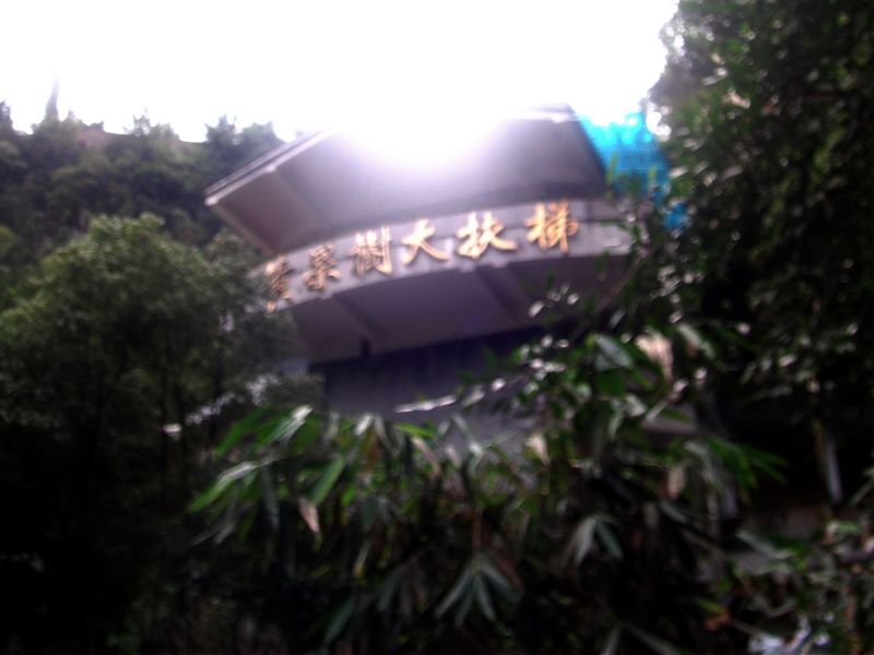 dscf0243.jpg