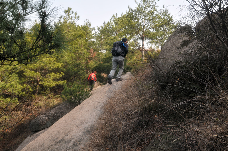 dsc_9626_.jpg