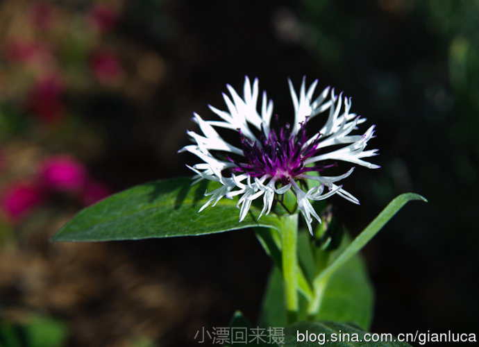 20133510291582266.jpg