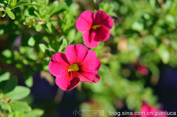 20133510291582266.jpg