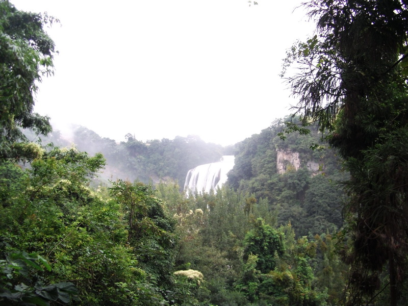 dscf0206.jpg