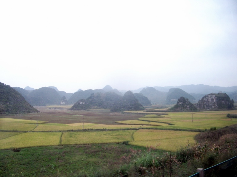 dscf0308.jpg